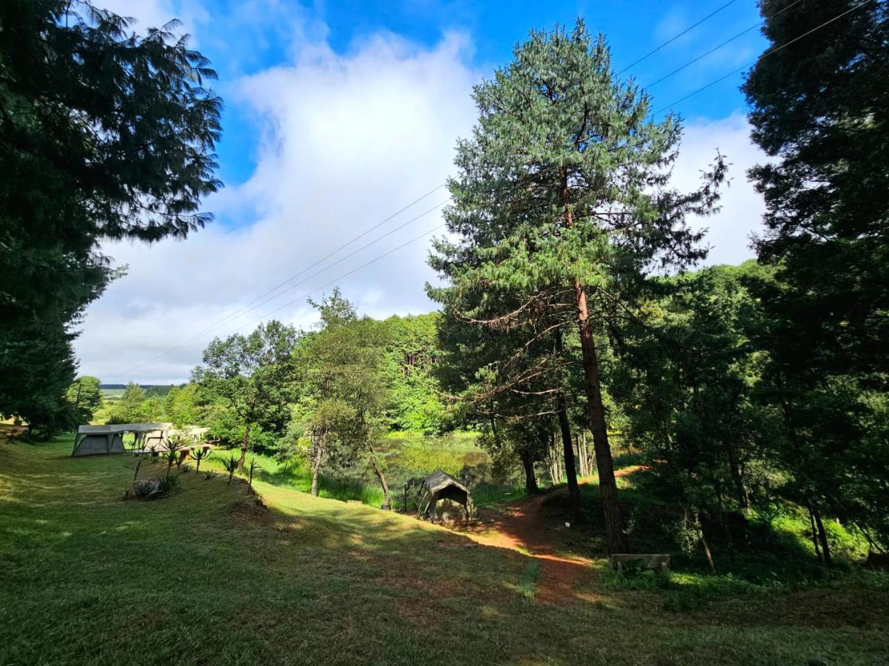 Silver Mist Resort, Haenertsburg Ngoại thất bức ảnh