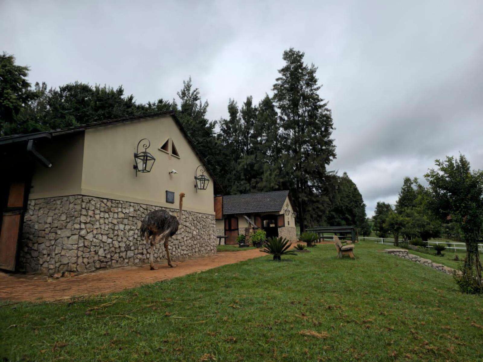 Silver Mist Resort, Haenertsburg Ngoại thất bức ảnh