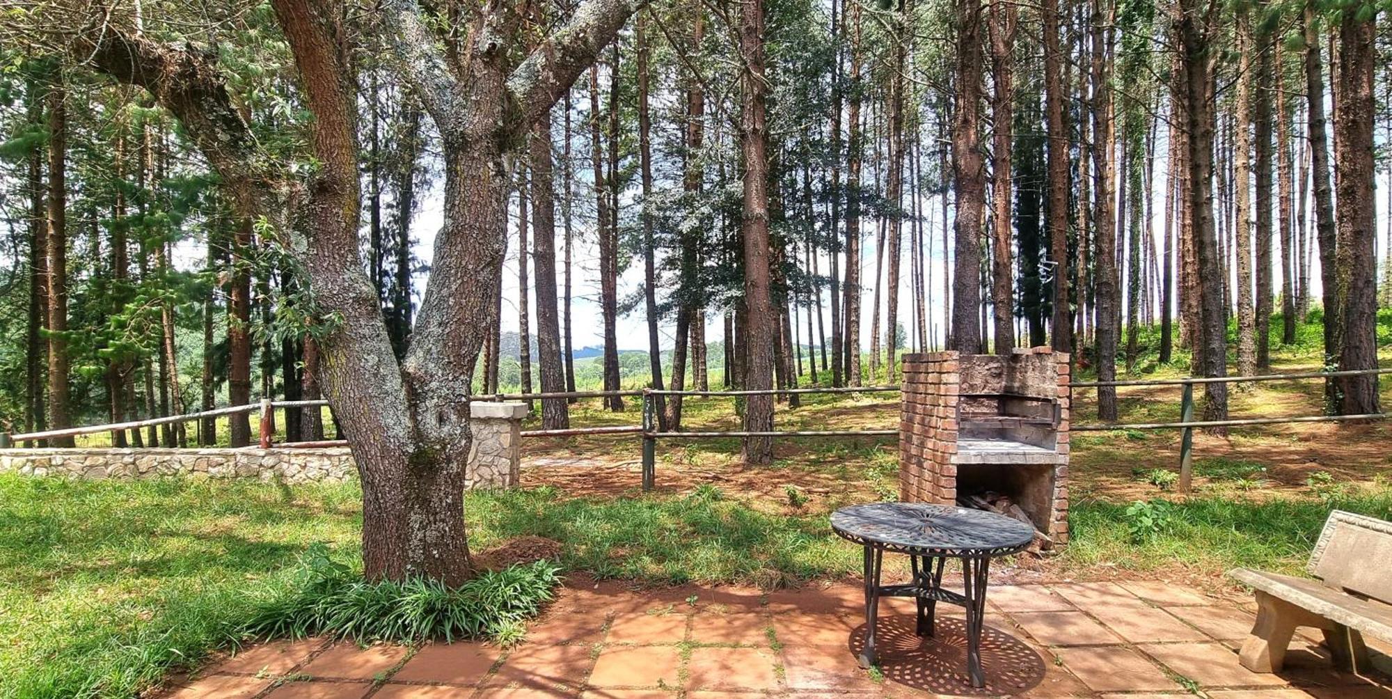 Silver Mist Resort, Haenertsburg Ngoại thất bức ảnh